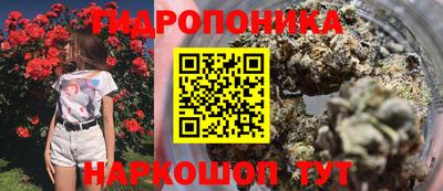 дмт Свободный