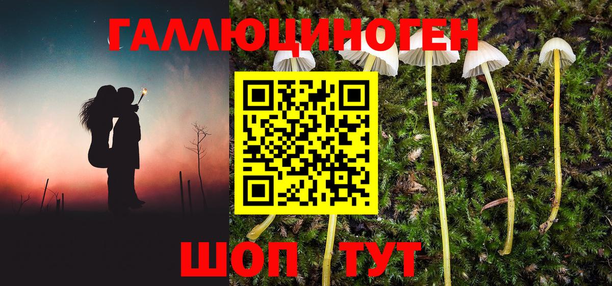 Галлюциногенные грибы GOLDEN TEACHER  Галлюциногенные грибы ЛСД  Мыски  Вход с VPN 