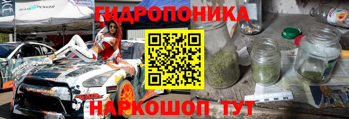 МАРИХУАНА сатива Мыски